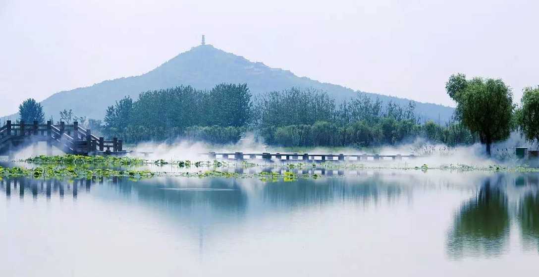  长兴仙山湖自由行2天>仙山湖国家湿地公园 中国扬子鳄村 大唐贡茶院